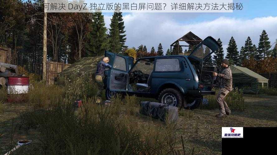 如何解决 DayZ 独立版的黑白屏问题？详细解决方法大揭秘