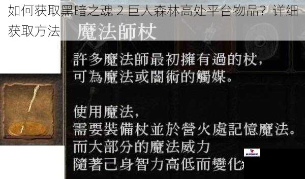 如何获取黑暗之魂 2 巨人森林高处平台物品？详细获取方法