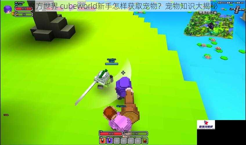 魔方世界 cubeworld新手怎样获取宠物？宠物知识大揭秘