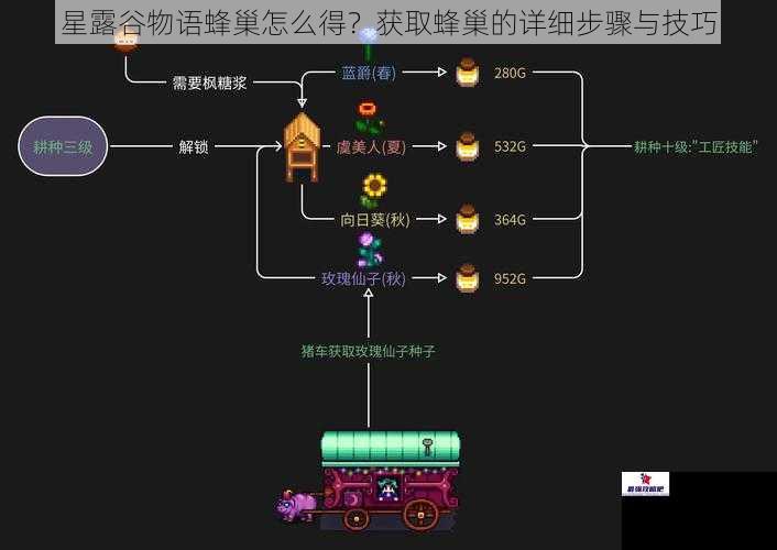 星露谷物语蜂巢怎么得？获取蜂巢的详细步骤与技巧