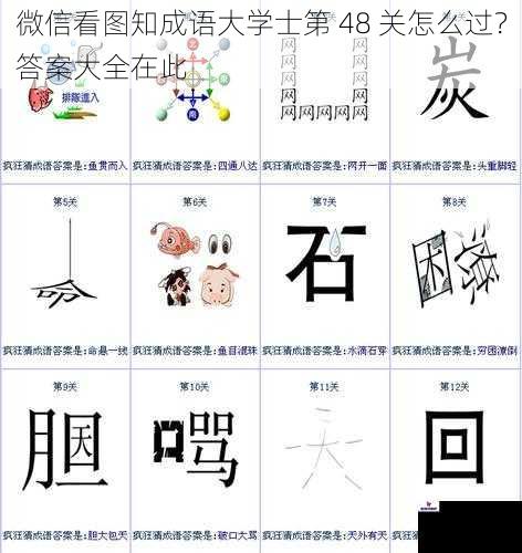 微信看图知成语大学士第 48 关怎么过？答案大全在此