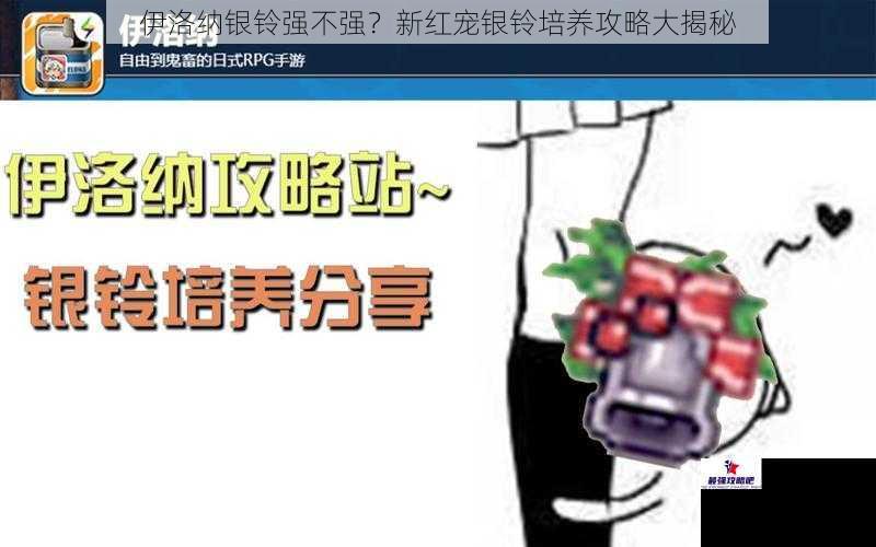 伊洛纳银铃强不强？新红宠银铃培养攻略大揭秘