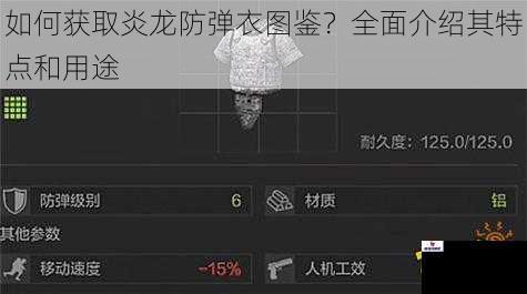 如何获取炎龙防弹衣图鉴？全面介绍其特点和用途