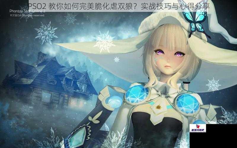 PSO2 教你如何完美脆化虐双狼？实战技巧与心得分享