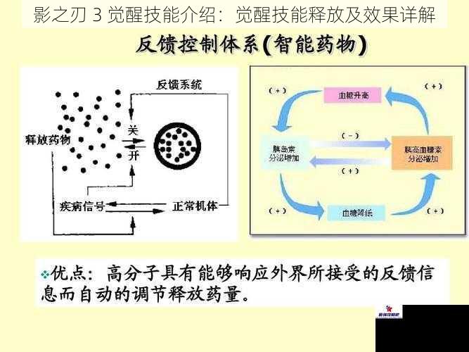 技能释放机制