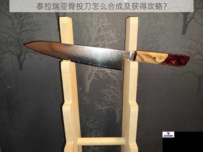 泰拉瑞亚骨投刀怎么合成及获得攻略？