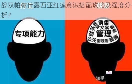 战双帕弥什露西亚红莲意识搭配攻略及强度分析？