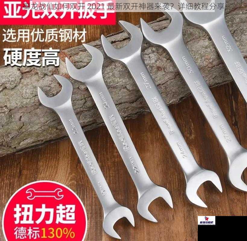 选择合适的双开工具