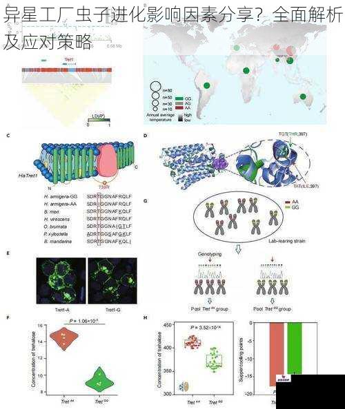 环境因素对虫子进化的影响