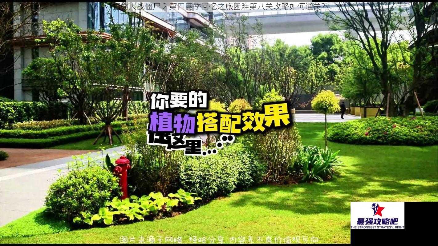 植物大战僵尸 2 第四赛季回忆之旅困难第八关攻略如何通关？