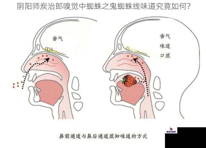 阴阳师炭治郎嗅觉中蜘蛛之鬼蜘蛛线味道究竟如何？