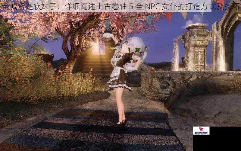 全城皆是软妹子：详细阐述上古卷轴 5 全 NPC 女仆的打造方式及技巧