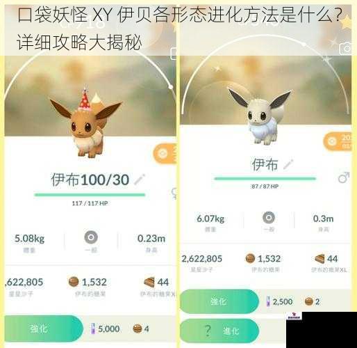 口袋妖怪 XY 伊贝各形态进化方法是什么？详细攻略大揭秘