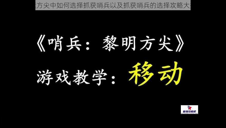 元素方尖中如何选择抓获哨兵以及抓获哨兵的选择攻略大揭秘