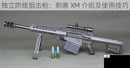 独立防线狙击枪：刺客 XM 介绍及使用技巧