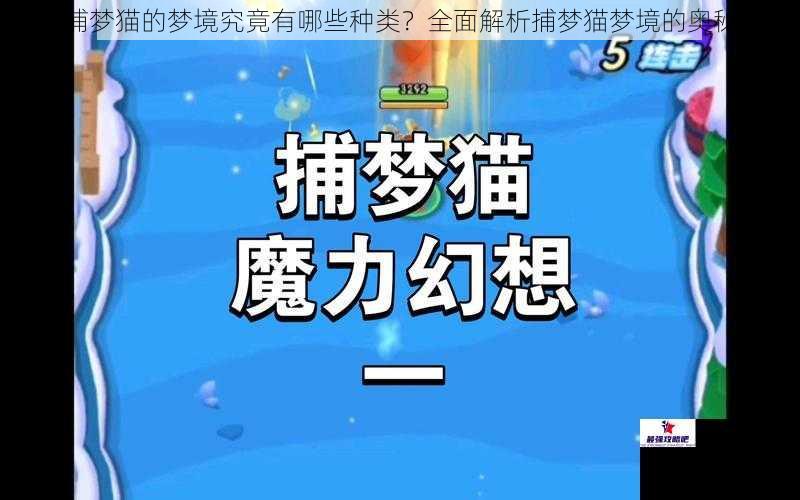 捕梦猫的梦境究竟有哪些种类？全面解析捕梦猫梦境的奥秘