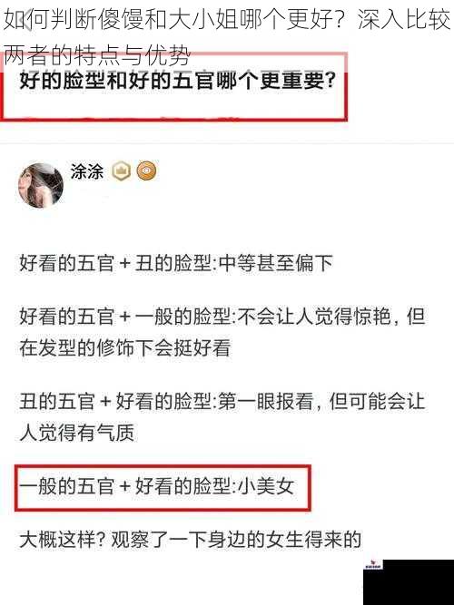 如何判断傻馒和大小姐哪个更好？深入比较两者的特点与优势