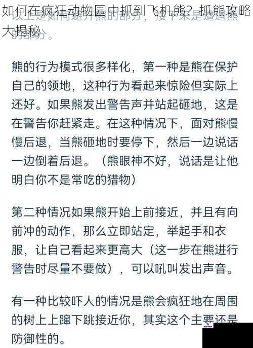 如何在疯狂动物园中抓到飞机熊？抓熊攻略大揭秘