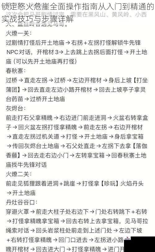 锁定怒火危崖全面操作指南从入门到精通的实战技巧与步骤详解