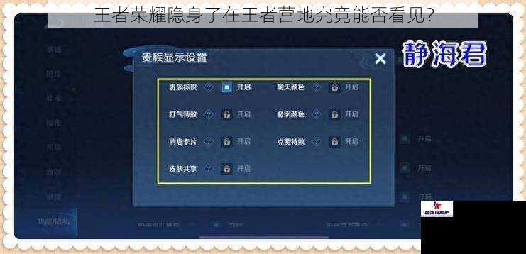王者荣耀隐身了在王者营地究竟能否看见？