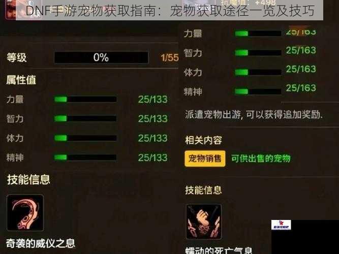 DNF手游宠物获取指南：宠物获取途径一览及技巧