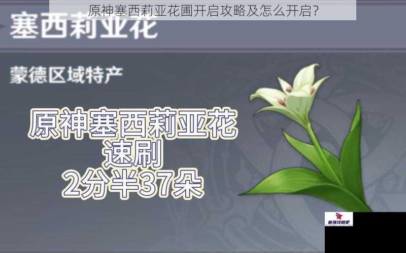 原神塞西莉亚花圃开启攻略及怎么开启？