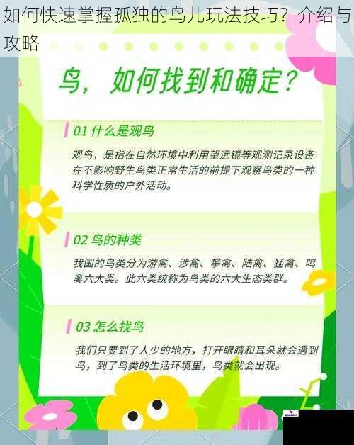 如何快速掌握孤独的鸟儿玩法技巧？介绍与攻略