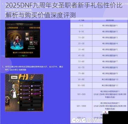 2025DNF九周年女圣职者新手礼包性价比解析与购买价值深度评测