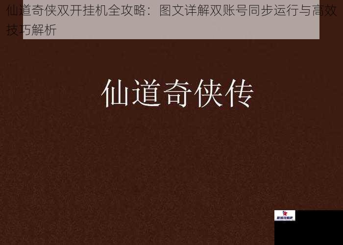 仙道奇侠双开挂机全攻略：图文详解双账号同步运行与高效技巧解析