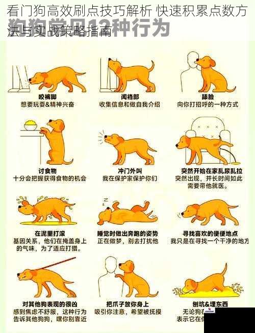 看门狗高效刷点技巧解析 快速积累点数方法与实战策略指南