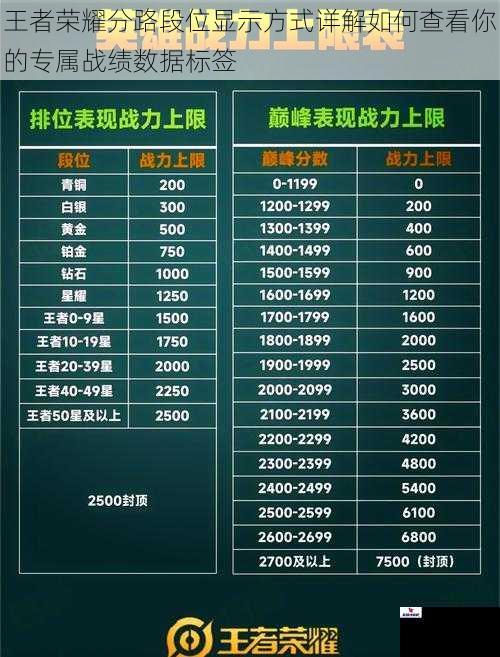 王者荣耀分路段位显示方式详解如何查看你的专属战绩数据标签